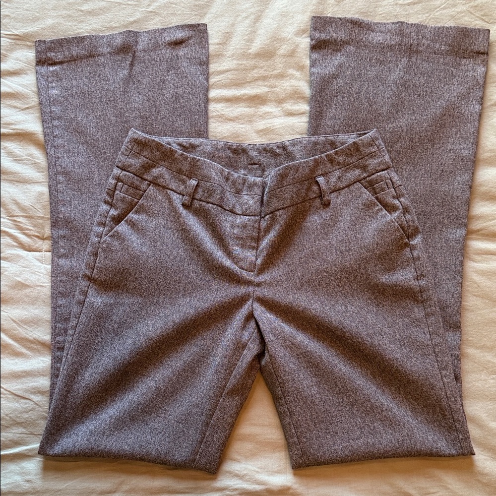 Tracy Evans Gray Boot Cut Pants